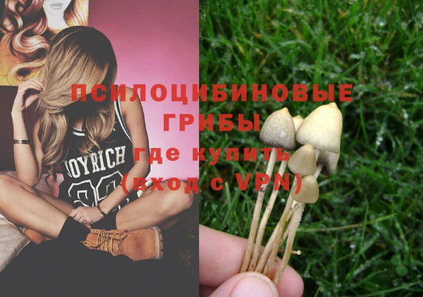 ECSTASY Алзамай