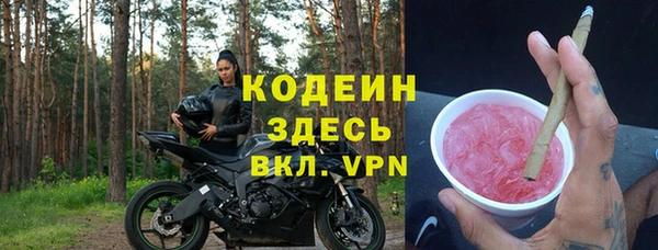 ECSTASY Алзамай